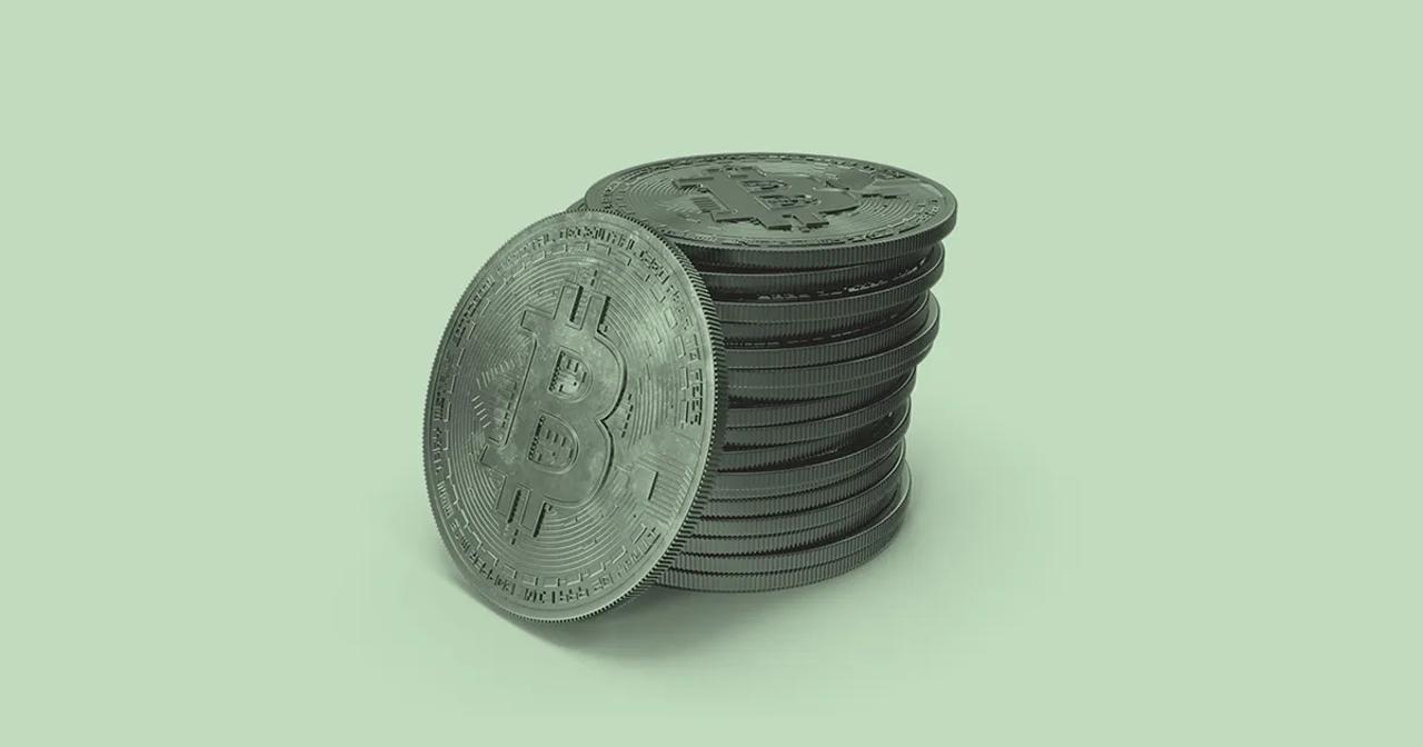 Bitcoin Holders