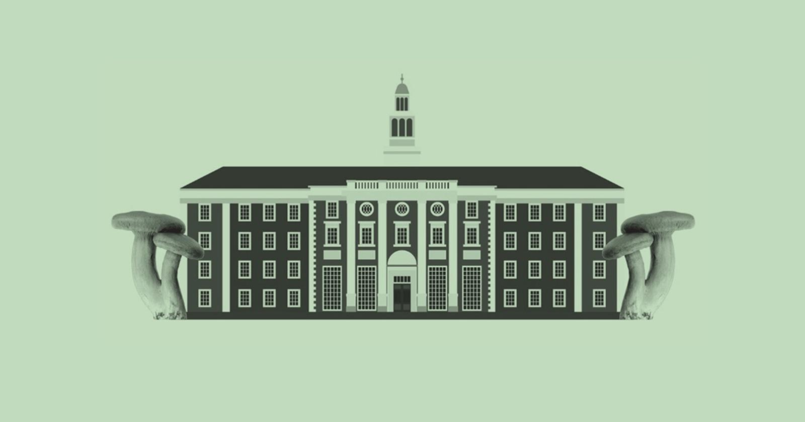 Harvard Lands $16 Million For Psychedelic Research