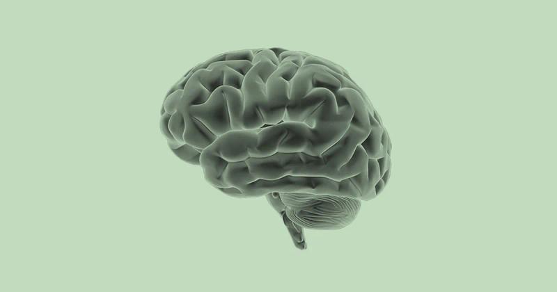 Firefly is Bringing AI-Powered Neuroscience to the Nasdaq