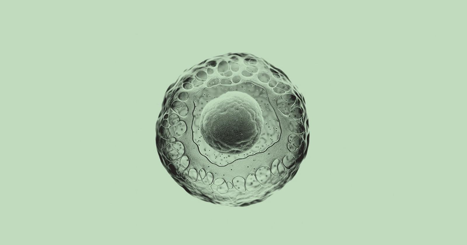 The Startup Bringing Stem Cells Together With Artificial Intelligence