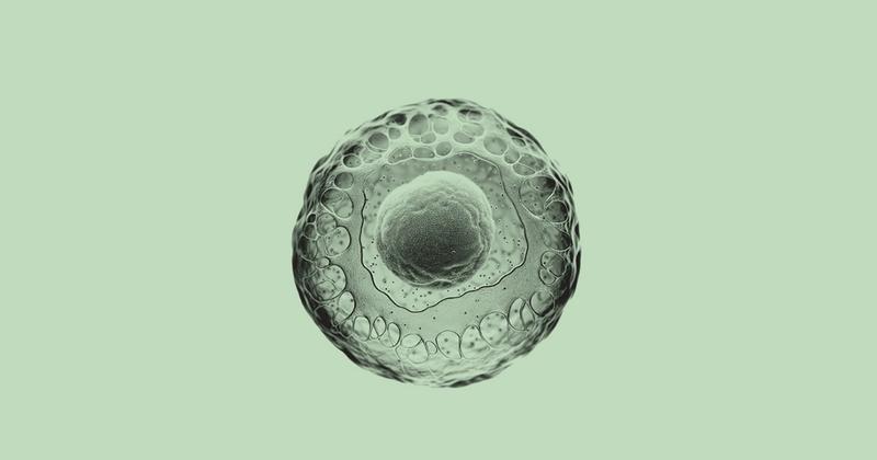 The Startup Bringing Stem Cells Together With Artificial Intelligence