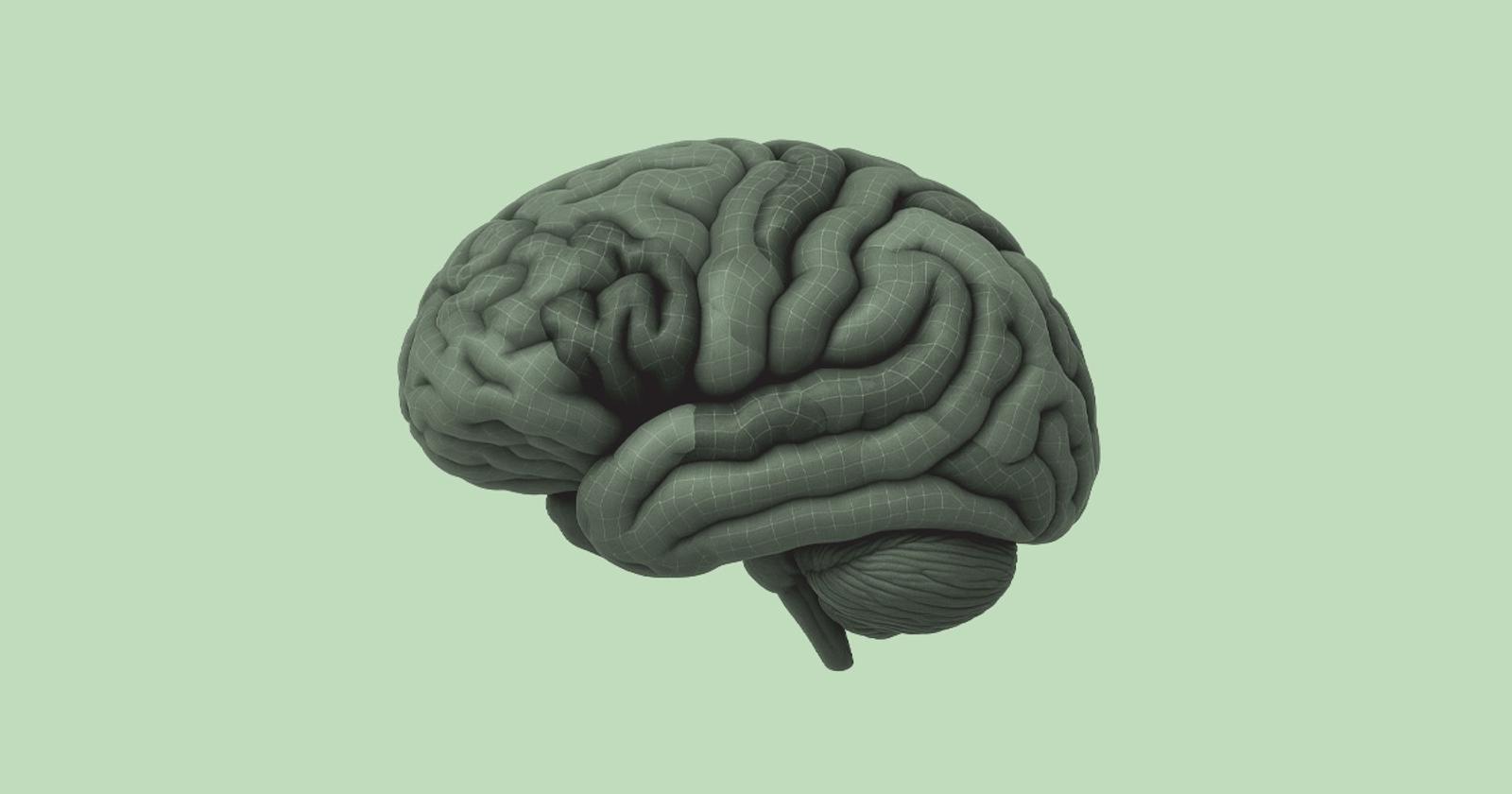Brain Mapping Data
