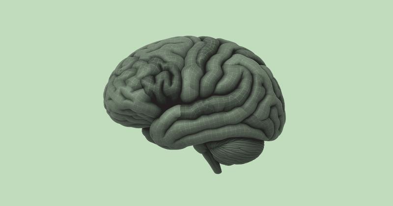 Brain Mapping Data