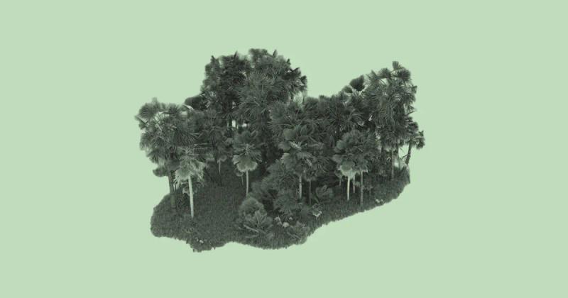 Devvstream Amazon Carbon Credits
