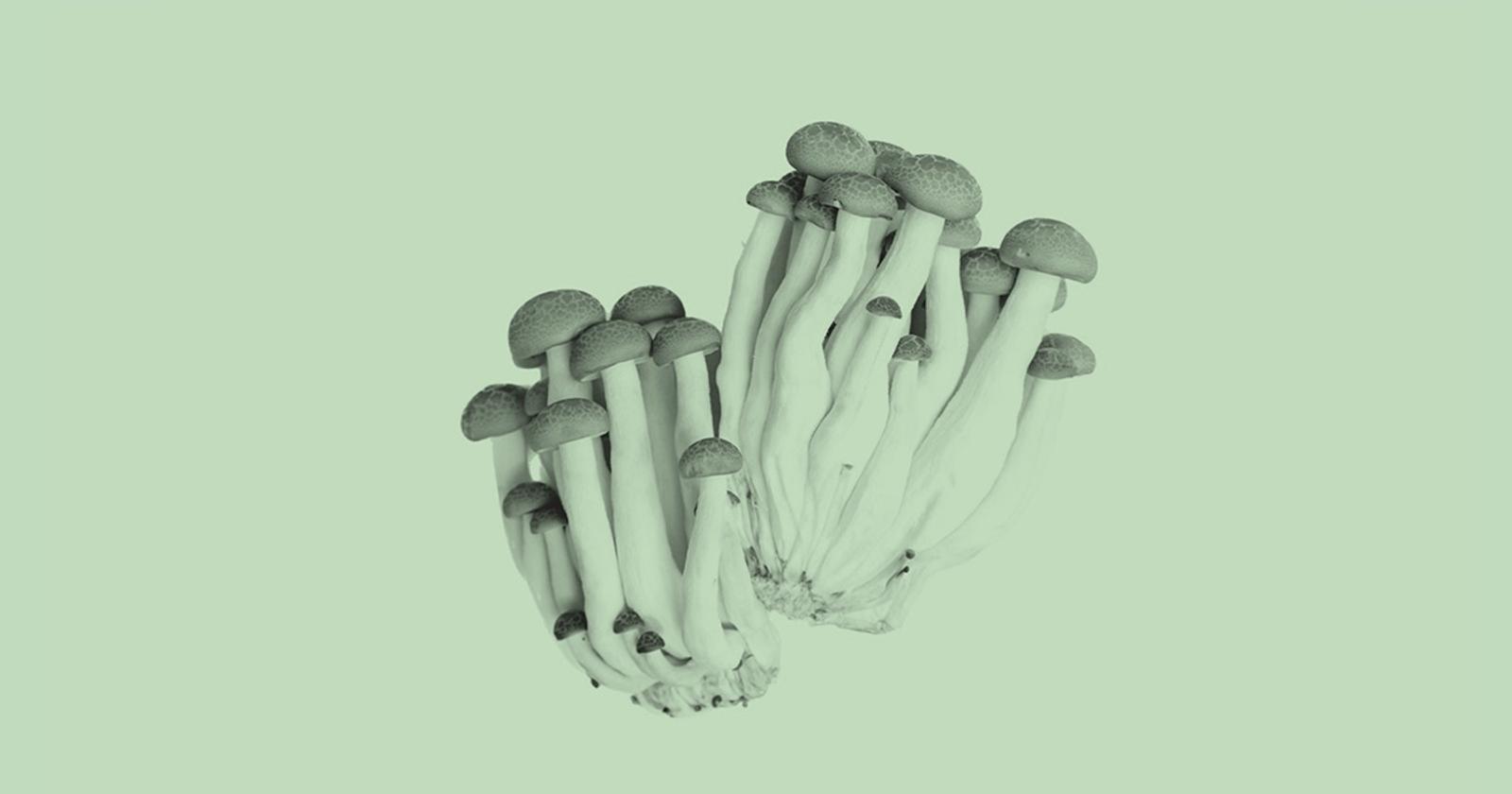Pharma Giants Are Now In The Psychedelic Business