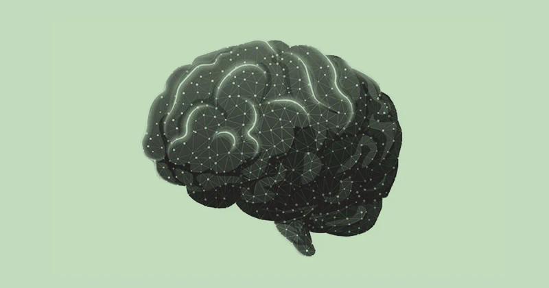 Hedge Fund Billionaire Steve Cohen is Betting on Psychedelics