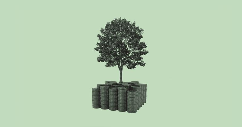 Big Tech is Buying Up Carbon Credits