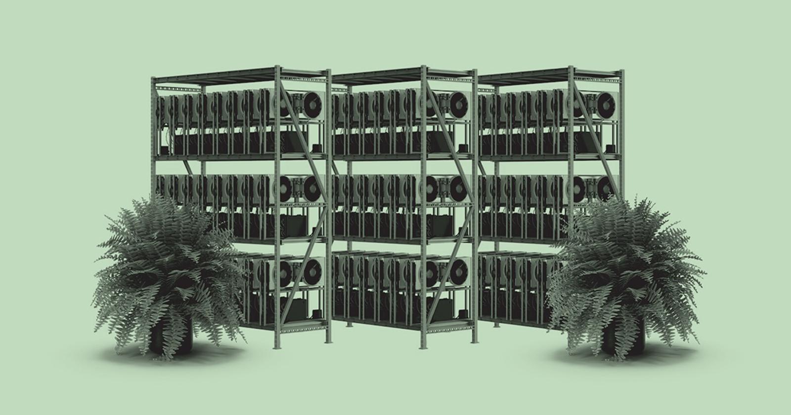 Server racks surrounded by plants
