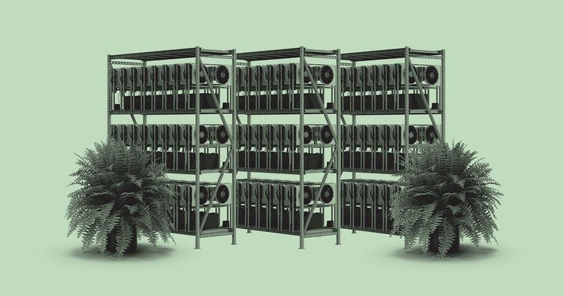 Server racks surrounded by plants