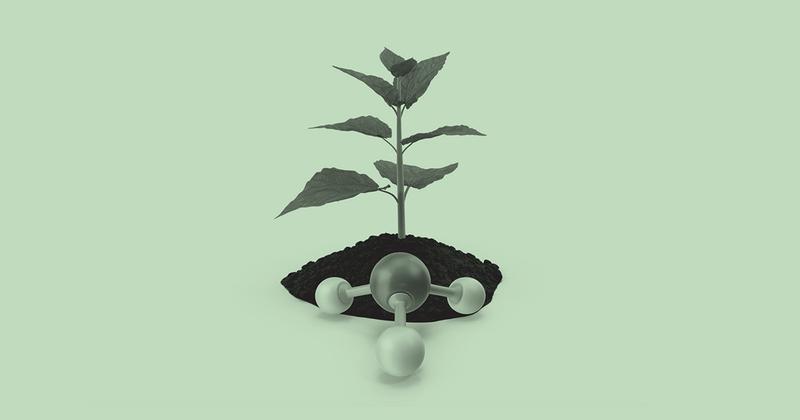 Green Ammonia Plant