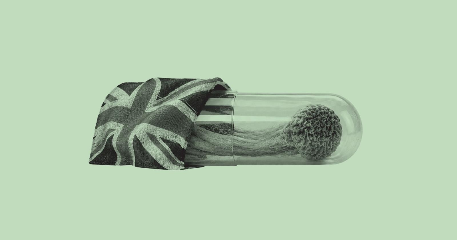 Psilocybin UK