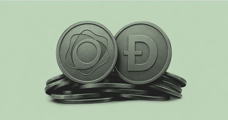 Dogecoin Paxos