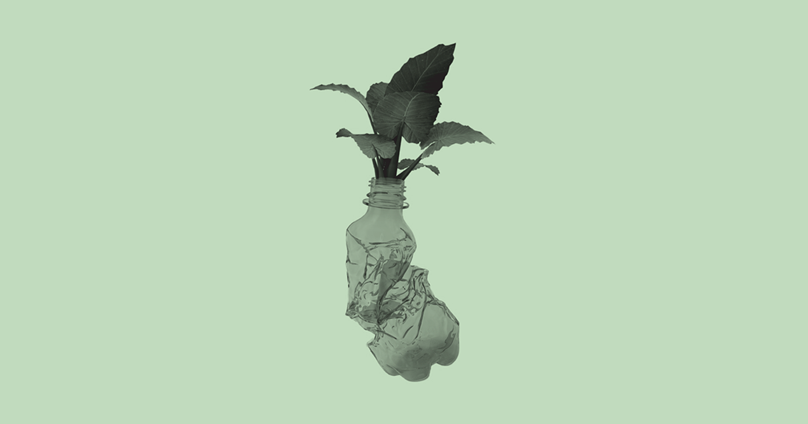 The Startup Turning Plants Into Plastic