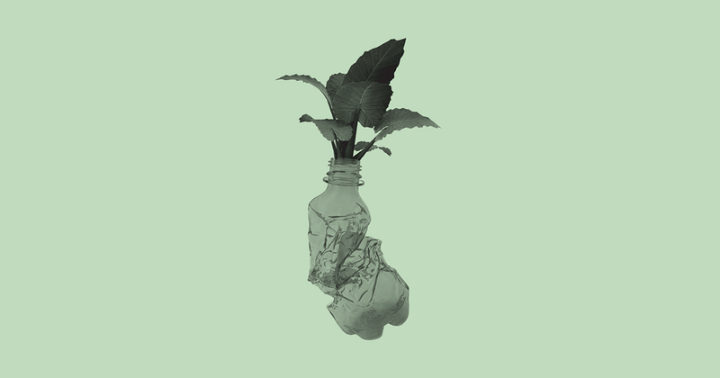 The Startup Turning Plants Into Plastic