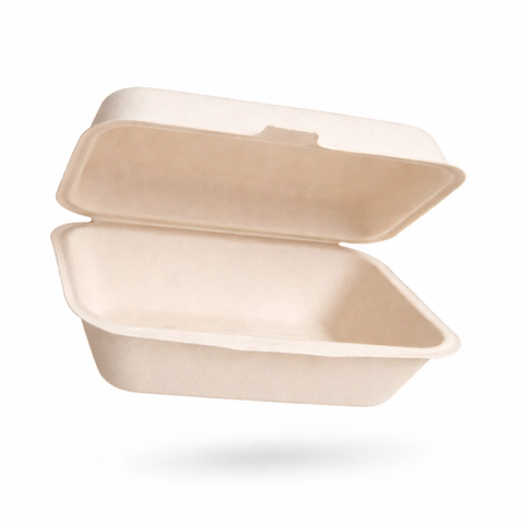 Bagasse Packaging