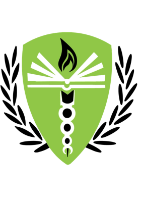 Medical Institute of Northeast Georgia logo