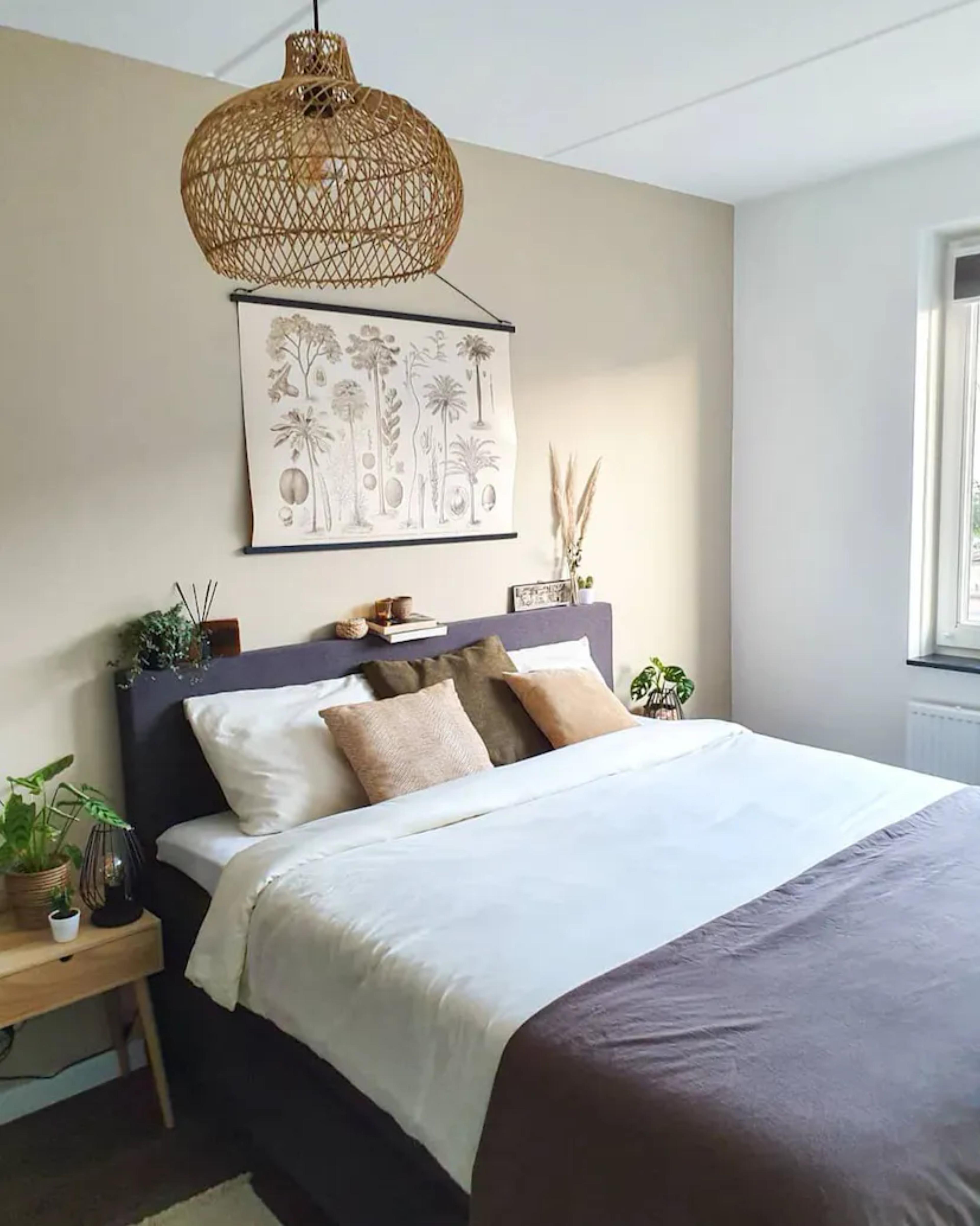 plantes-et-fleurs-pots-vases