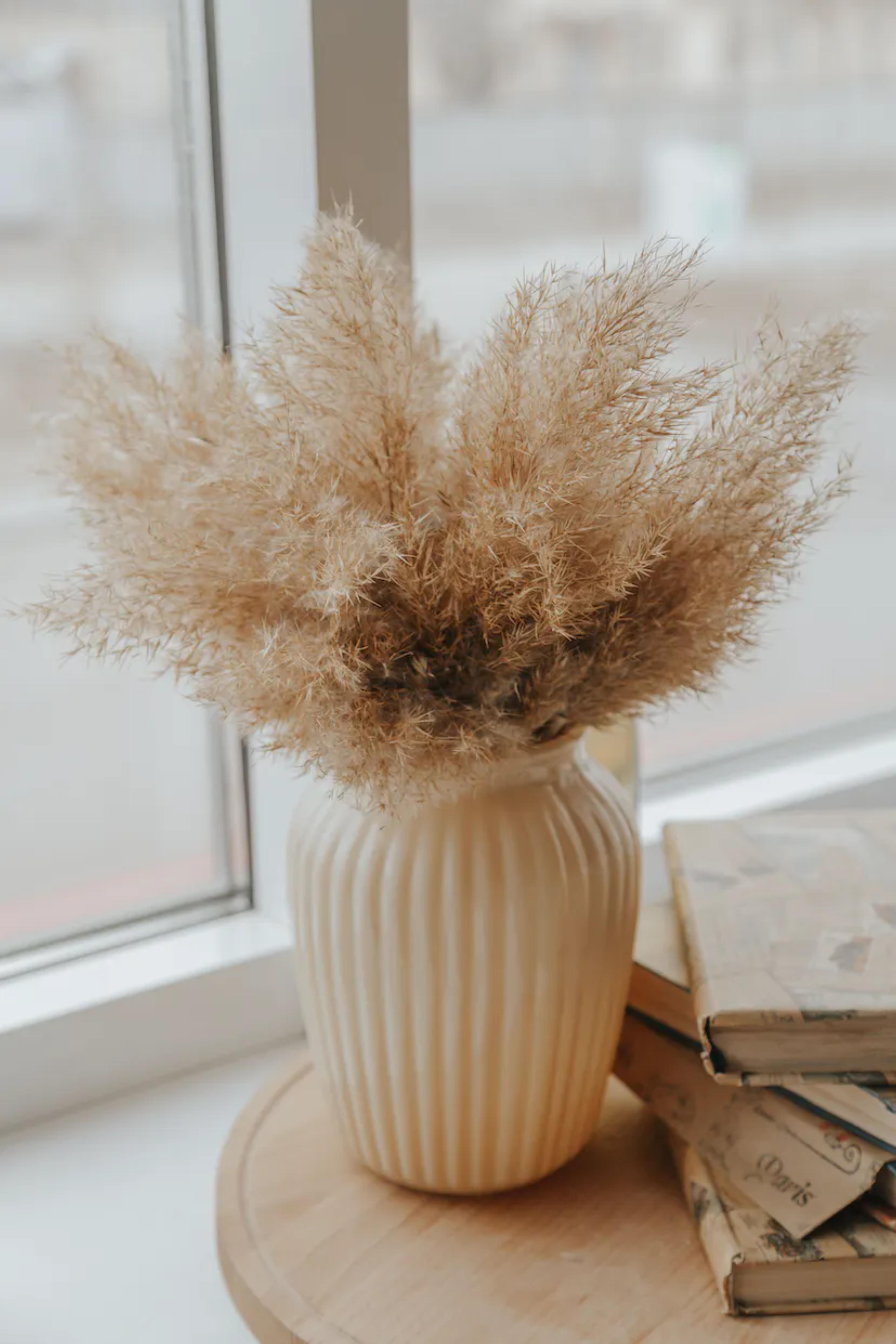 plumes-et-fleurs-séchées