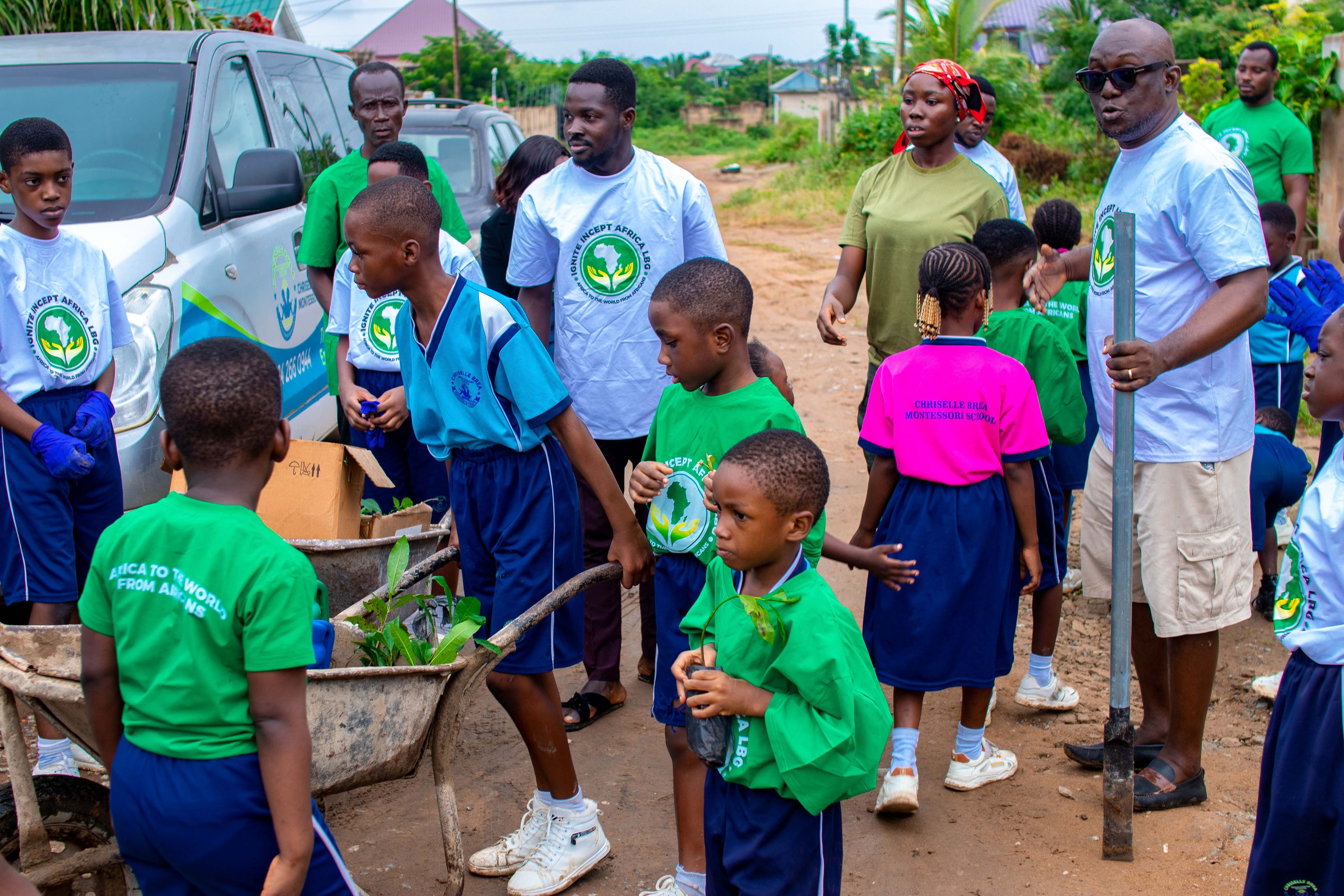 Photos from the Tree planting Project