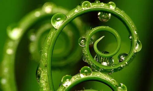 Imagem de análise técnica