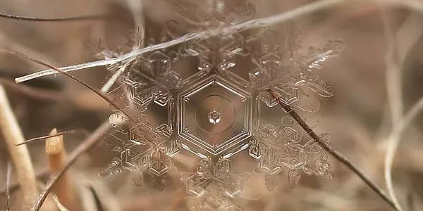 Fotografia Macro de Flocos de Neve Derretendo até Parece Photoshop