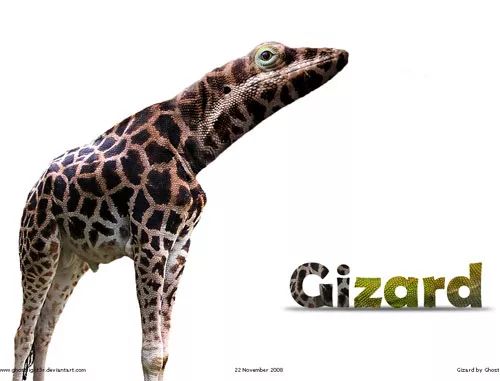 Imagem de análise técnica