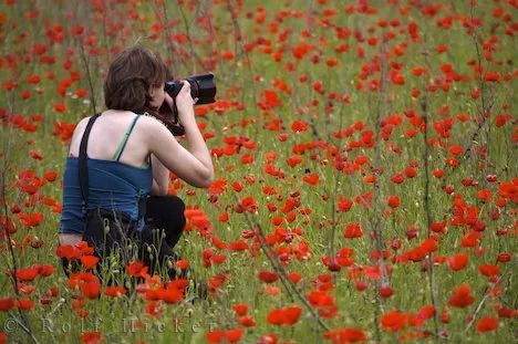 fotogranfando flores