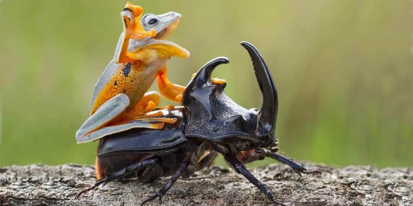 Boas máquinas fotográficas significam boas fotos?