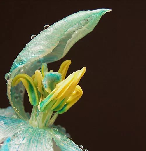 Imagem de análise técnica