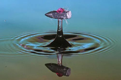 fotos em alta velocidade