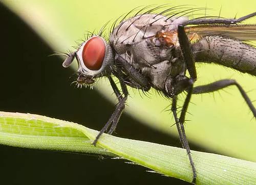 Imagem de análise técnica