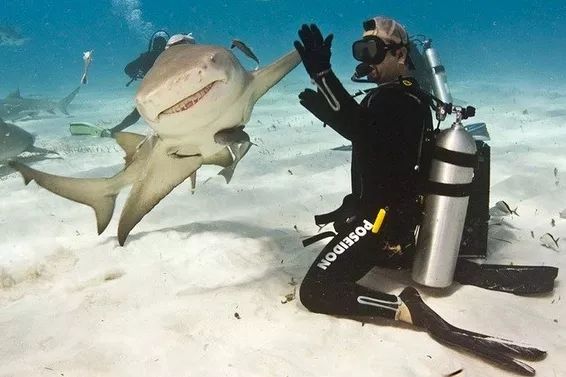 imagens incriveis verdadeiras 02