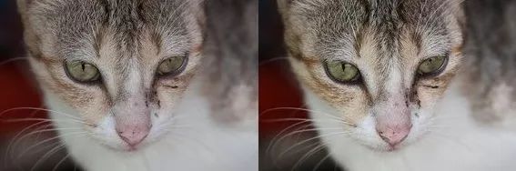 raw vs jpeg 02