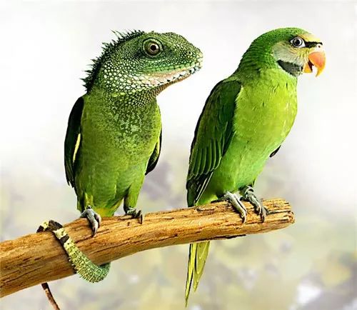 Imagem de análise técnica