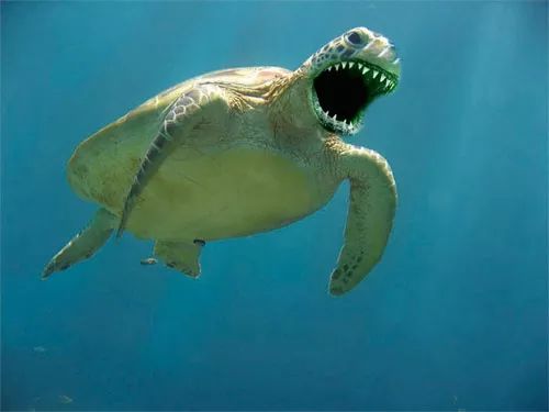 Imagem de análise técnica