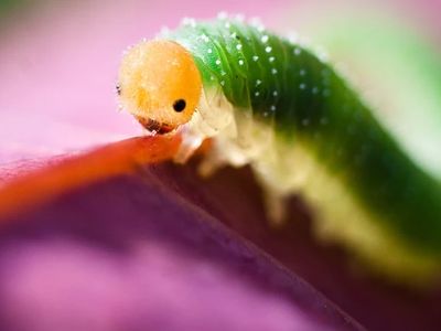 Como Entrar no Negócio de Fotografia?