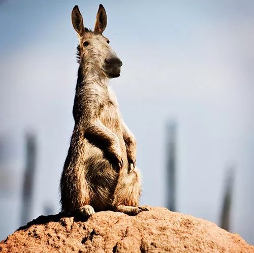Imagem de análise técnica