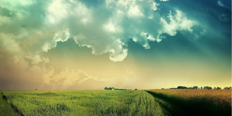 Como e Quanto Cobrar por uma Sessão Fotográfica e algumas Fotos Impressas?