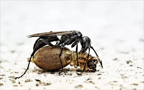 Imagem de análise técnica