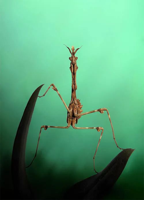 Imagem de análise técnica