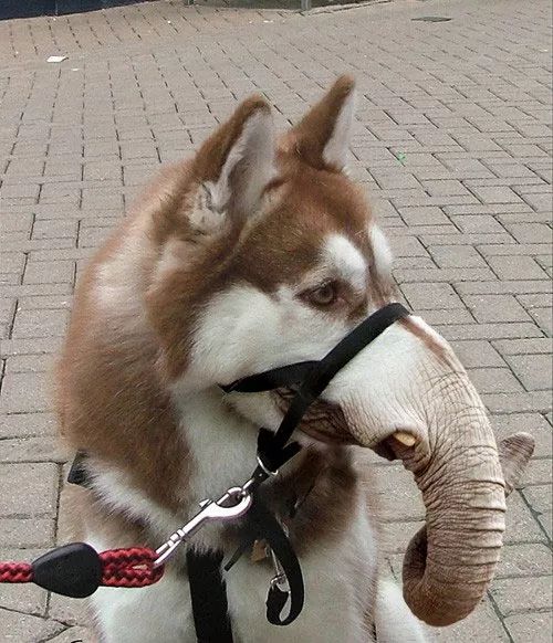 Imagem de análise técnica