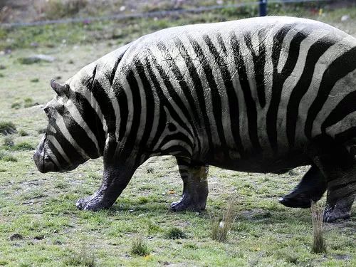 Imagem de análise técnica