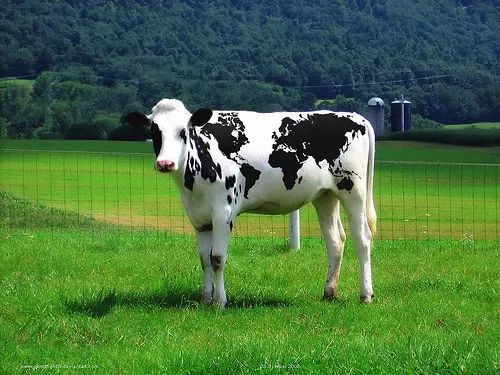 Imagem de análise técnica