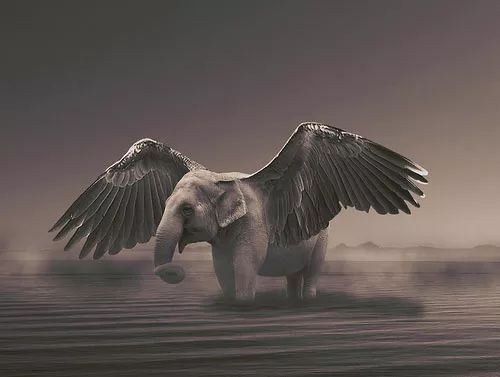 Imagem de análise técnica