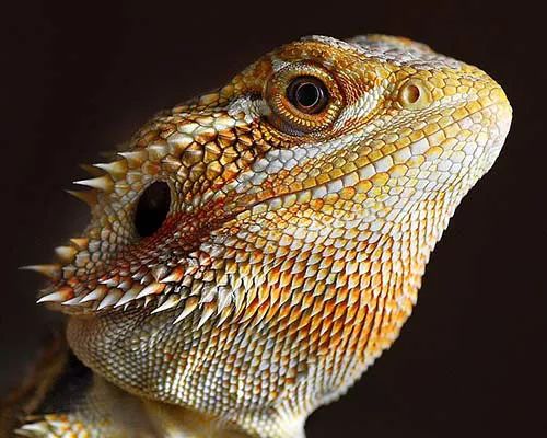 Imagem de análise técnica