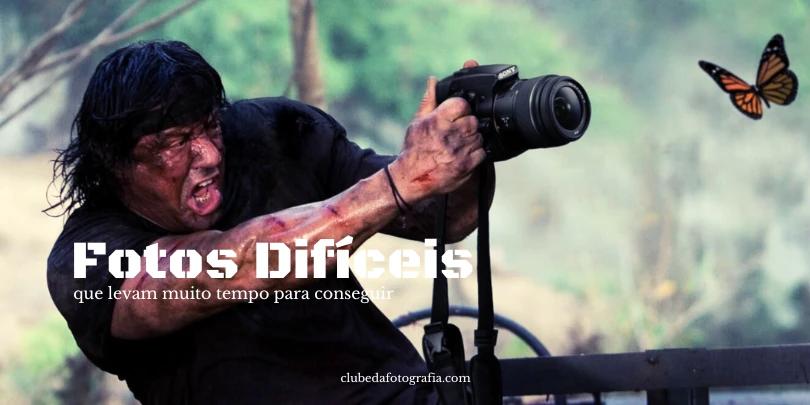 Veja Fotos Incríveis Tiradas Depois de Muito Trabalho e Tempo para Conseguir a Melhor Cena