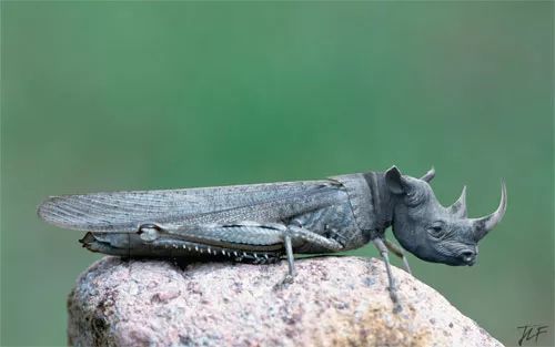 Imagem de análise técnica