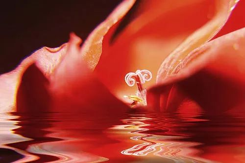 Imagem de análise técnica