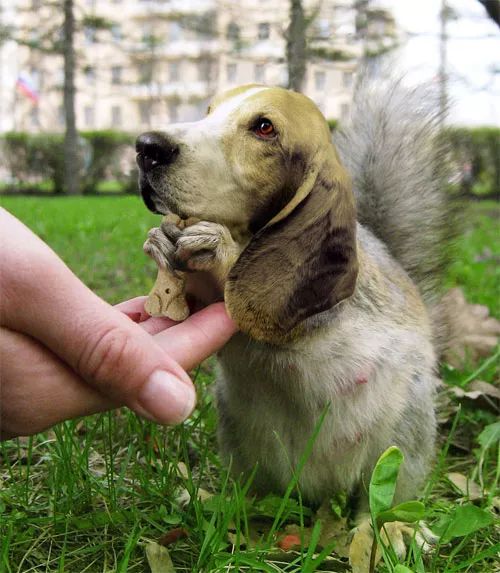 Imagem de análise técnica