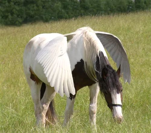 Imagem de análise técnica